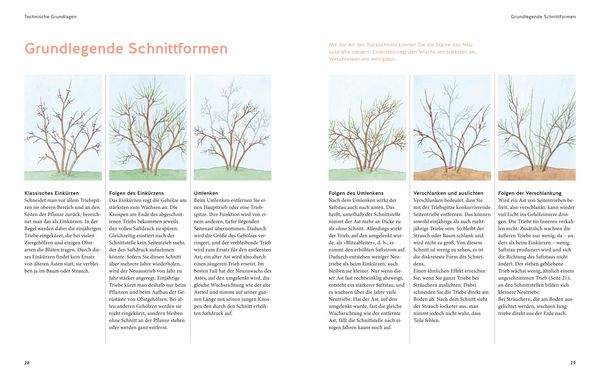Produktbild: Pflanzenschnitt
