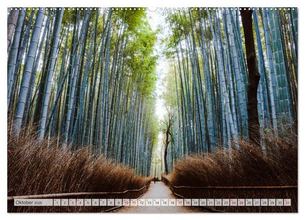 Produktbild: W&auml;lder der Welt (hochwertiger Premium Wandkalender 2026 DIN A2 quer), Kunstdruck in Hochglanz