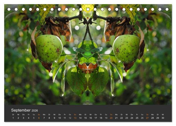 Produktbild: Spiegelwelten - Im Reich der Naturwesen (Tischkalender 2026 DIN A5 quer), CALVENDO Monatskalender