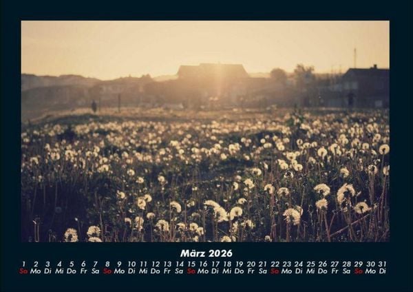 Produktbild: Bilder aus der Natur 2026 Fotokalender DIN A4