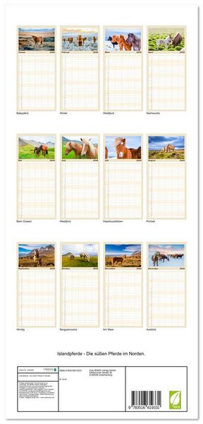 Produktbild: Familienplaner 2026 - Islandpferde - Die s&uuml;&szlig;en Pferde im Norden. mit 5 Spalten (Wandkalender, 21 x 45 cm) CALVENDO