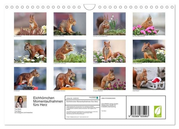 Produktbild: Eichh&ouml;rnchen Momentaufnahmen f&uuml;rs Herz (Wandkalender 2027 DIN A4 quer), CALVENDO Monatskalender