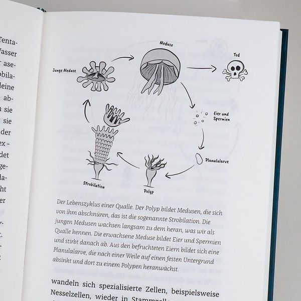 Produktbild: Wenn Haie leuchten