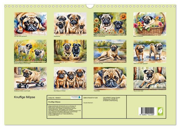 Produktbild: Knuffige M&ouml;pse (Wandkalender 2026 DIN A3 quer), CALVENDO Monatskalender