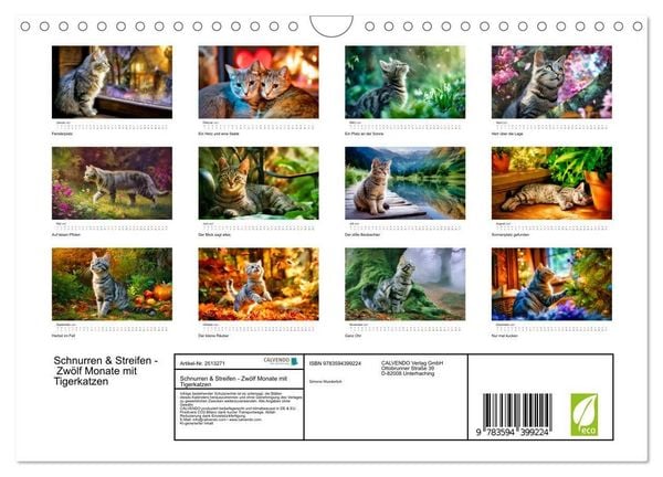 Produktbild: Schnurren & Streifen - Zw&ouml;lf Monate mit Tigerkatzen (Wandkalender 2027 DIN A4 quer), CALVENDO Monatskalender