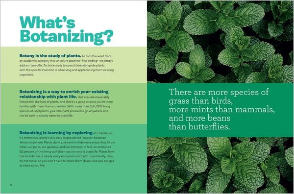 Produktbild: Let's Botanize