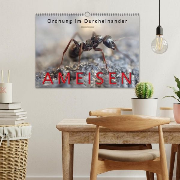 Produktbild: Ameisen - Ordnung im Durcheinander (Wandkalender 2026 DIN A3 quer), CALVENDO Monatskalender