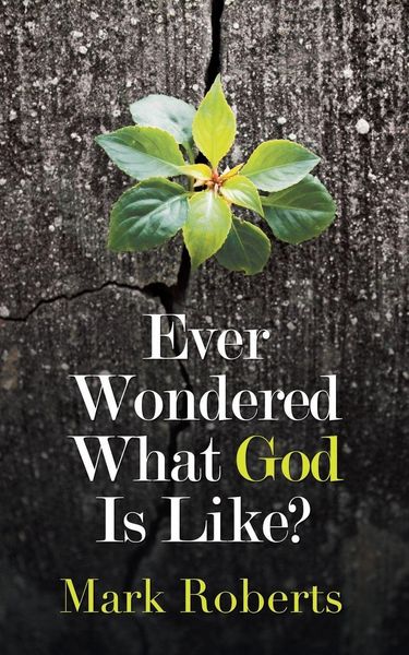 Produktbild: Ever Wondered What God Is Like?