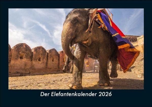 Der Elefantenkalender 2026 Fotokalender DIN A5