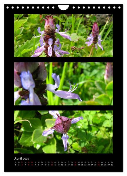Produktbild: ZAUBERWELT DER BLUMEN - EISKRISTALLE & WASSERPERLEN (Wandkalender 2026 DIN A4 hoch), CALVENDO Monatskalender