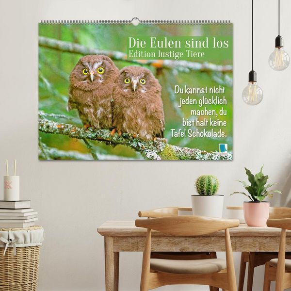 Produktbild: Die Eulen sind los: Edition lustige Tiere (Wandkalender 2026 DIN A2 quer), CALVENDO Monatskalender
