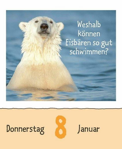 Produktbild: Wie faul ist das Faultier? 2026