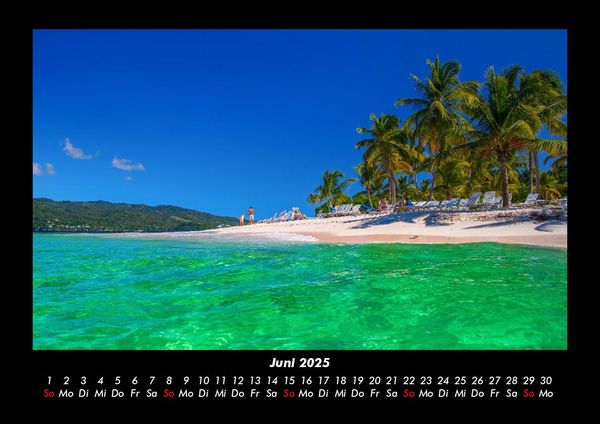 Produktbild: Palmen 2025 Fotokalender DIN A3