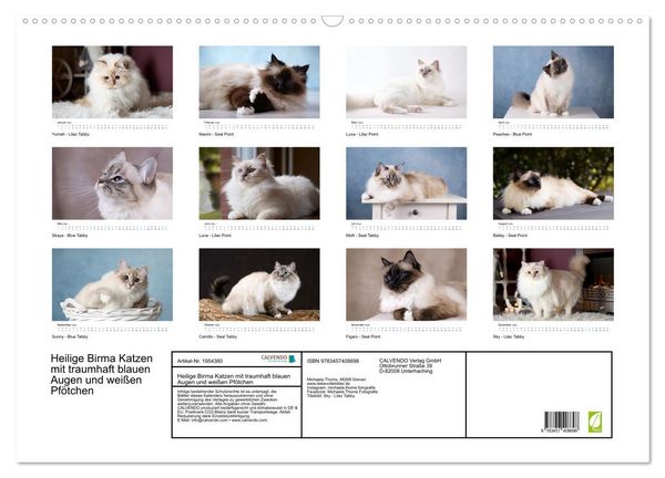 Produktbild: Heilige Birma Katzen mit traumhaft blauen Augen und wei&szlig;en Pf&ouml;tchen (Wandkalender 2026 DIN A2 quer), CALVENDO Monatskalender