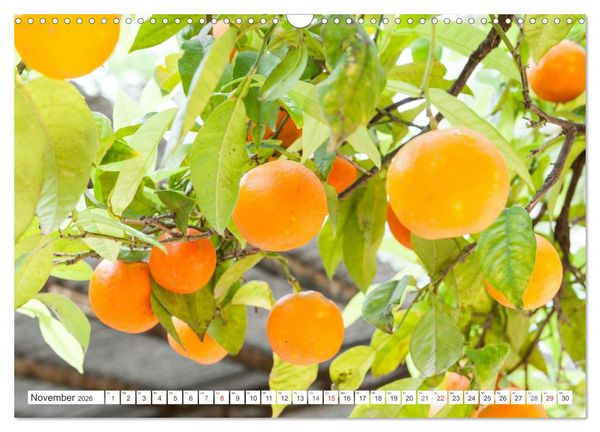 Produktbild: Emotionale Momente: Orangen & Zitronen. (Wandkalender 2026 DIN A3 quer), CALVENDO Monatskalender