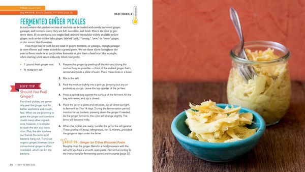 Produktbild: Fiery Ferments