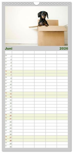 Produktbild: Familienplaner 2026 - Dackelblicke - Lassen Herzen erw&auml;rmen. mit 5 Spalten (Wandkalender, 21 x 45 cm) CALVENDO