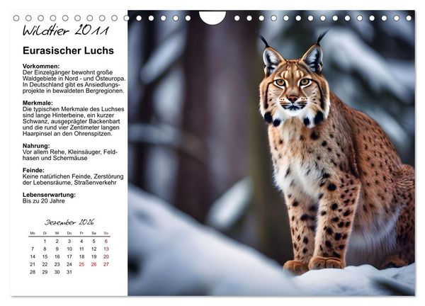 Produktbild: Wildtiere des Jahres (Wandkalender 2026 DIN A4 quer), CALVENDO Monatskalender