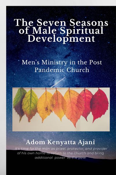 Produktbild: The Seven Seasons of Male Spiritual Development: Men's Ministry in the Post-Pandemic Church