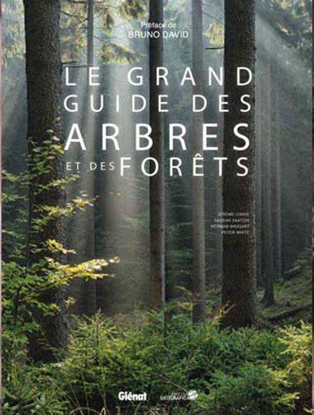 Produktbild: Le grand guide des arbres et for&ecirc;ts