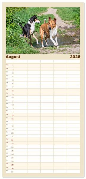 Produktbild: Familienplaner 2026 - Ein Freund f&uuml;rs Leben - Smooth Collie mit 5 Spalten (Wandkalender, 21 x 45 cm) CALVENDO