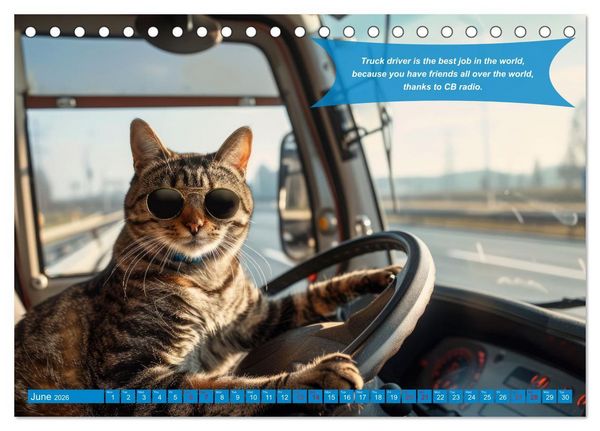 Produktbild: Ruebsamen, P: Funny charming animals as truck drivers (Desk