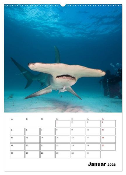 Produktbild: Tauchen - Abtauchen und Staunen (Wandkalender 2026 DIN A2 hoch), CALVENDO Monatskalender