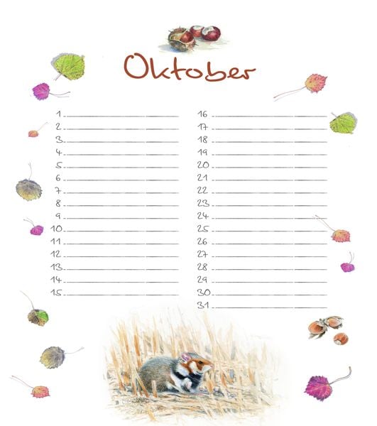 Produktbild: Geburtstagskalender