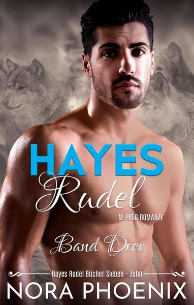 Produktbild: Hayes Rudel Band Drei: Hayes Rudel B&uuml;cher Sieben - Zehn