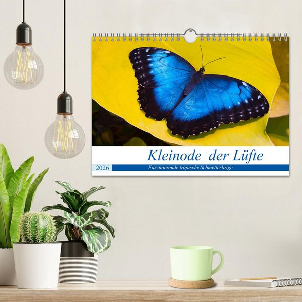 Produktbild: Kleinode der L&uuml;fte - Faszinierende tropische Schmetterlinge (Wandkalender 2026 DIN A4 quer), CALVENDO Monatskalender