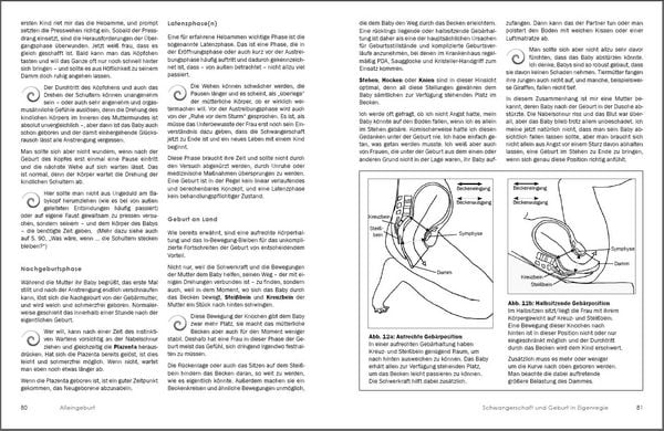 Produktbild: Alleingeburt - Schwangerschaft und Geburt in Eigenregie