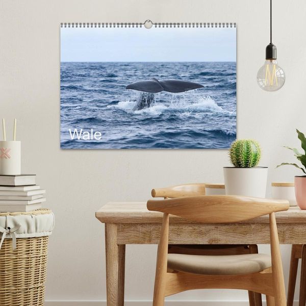 Produktbild: Wale (Wandkalender 2026 DIN A3 quer), CALVENDO Monatskalender