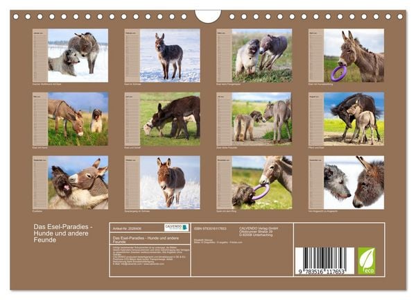 Produktbild: Das Esel-Paradies - Hunde und andere Feunde (Wandkalender 2026 DIN A4 quer), CALVENDO Monatskalender