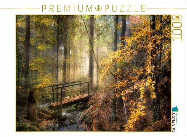 Produktbild: CALVENDO Puzzle Ins Licht | 1000 Teile Lege-Gr&ouml;&szlig;e 64x48cm Foto-Puzzle f&uuml;r gl&uuml;ckliche Stunden