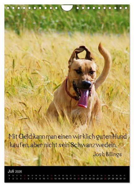 Produktbild: Der Broholmer (Wandkalender 2026 DIN A4 hoch), CALVENDO Monatskalender
