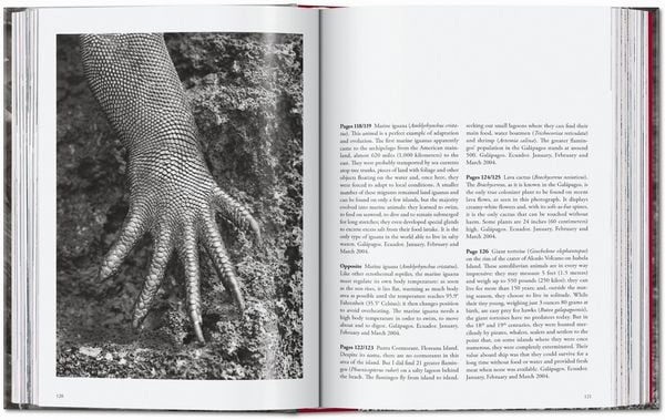 Produktbild: Sebasti&atilde;o Salgado
