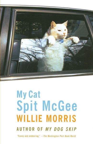 Produktbild: My Cat Spit McGee