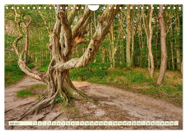 Produktbild: R&uuml;gen - Jasmund Nationalpark (Wandkalender 2027 DIN A4 quer), CALVENDO Monatskalender