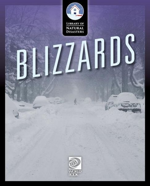 Produktbild: Blizzards