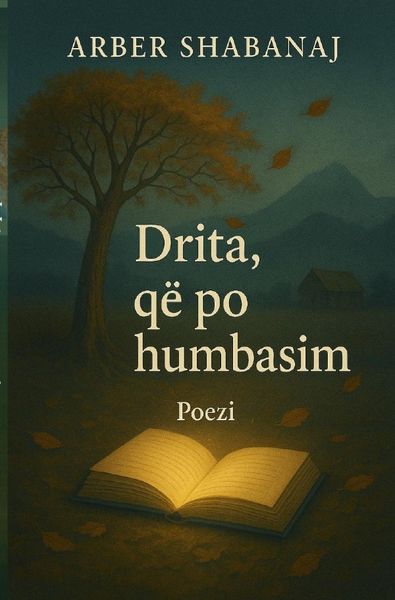 Produktbild: Drita, q&euml; po humbasim