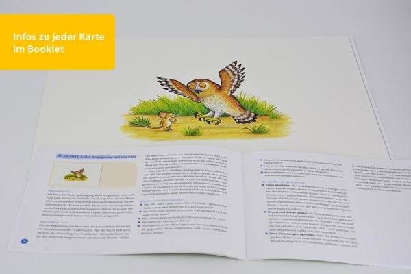 Produktbild: Bilderbuchkarten &raquo;Der Gr&uuml;ffelo&laquo; von Axel Scheffler und Julia Donaldson
