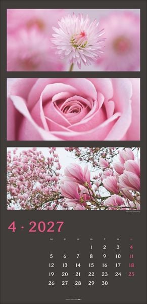 Produktbild: Die Farben der Natur Kalender 2027