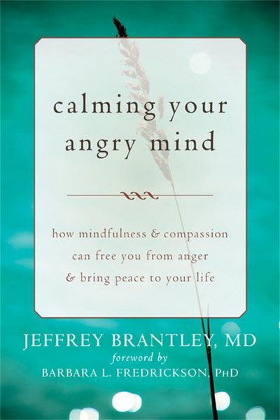 Produktbild: Calming Your Angry Mind