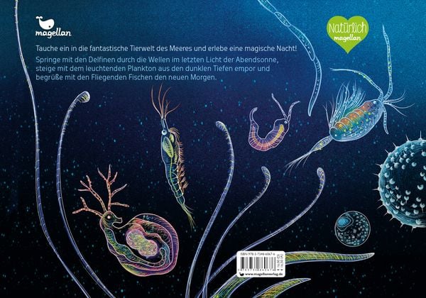 Produktbild: Eine Nacht im Ozean