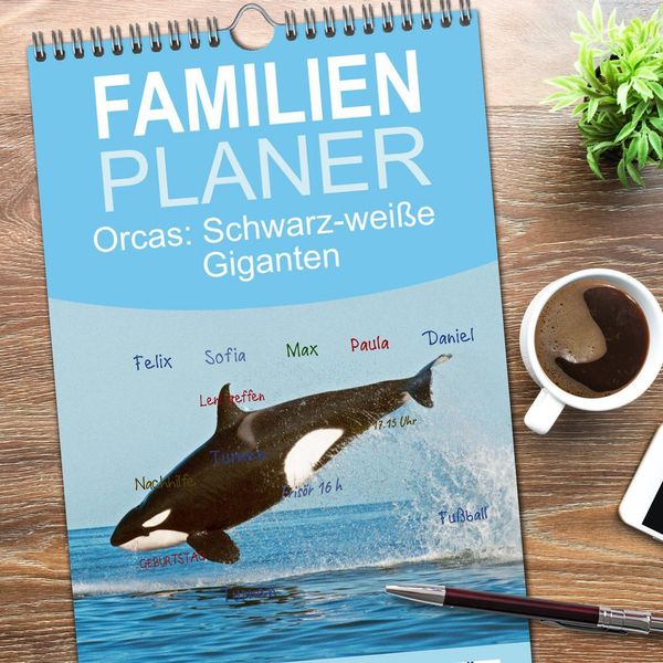 Produktbild: Familienplaner 2026 - Orcas: Schwarz-wei&szlig;e Giganten mit 5 Spalten (Wandkalender, 21 x 45 cm) CALVENDO