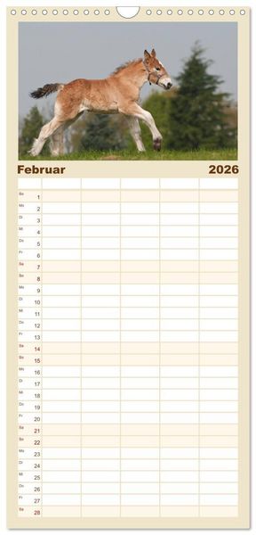 Produktbild: Familienplaner 2026 - Kaltblut - schwere Pferde mit Herz mit 5 Spalten (Wandkalender, 21 x 45 cm) CALVENDO