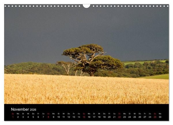 Produktbild: Magisches Cornwall (Wandkalender 2026 DIN A3 quer), CALVENDO Monatskalender