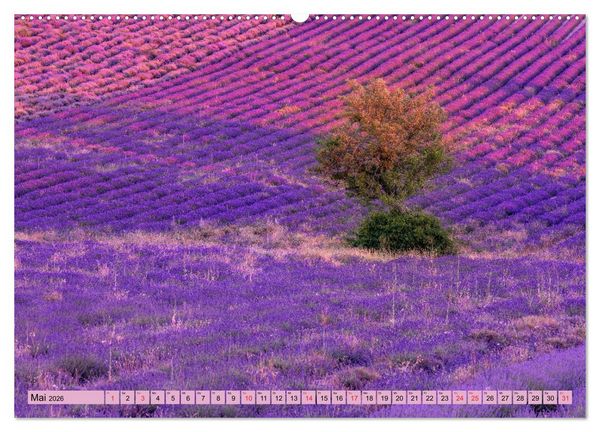Produktbild: Provence, Lavendelzeit in S&uuml;dfrankreich (hochwertiger Premium Wandkalender 2026 DIN A2 quer), Kunstdruck in Hochglanz