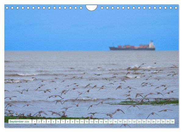 Produktbild: Schillig und Horumersiel - Im Wangerland unterwegs (Wandkalender 2026 DIN A4 quer), CALVENDO Monatskalender