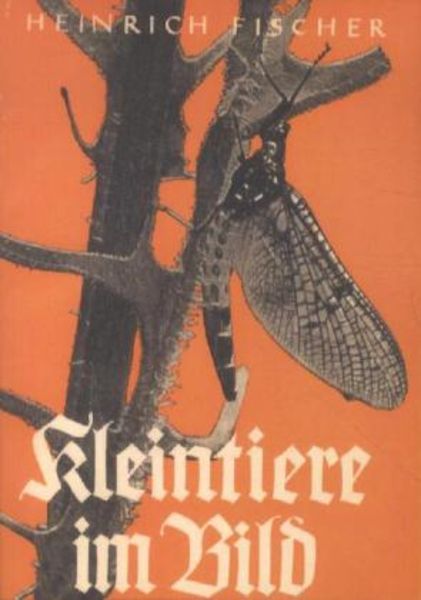 Kleintiere im Bild, Taschenbuch von Heinrich Fischer-Roth, Salzwasser, 9783846003961